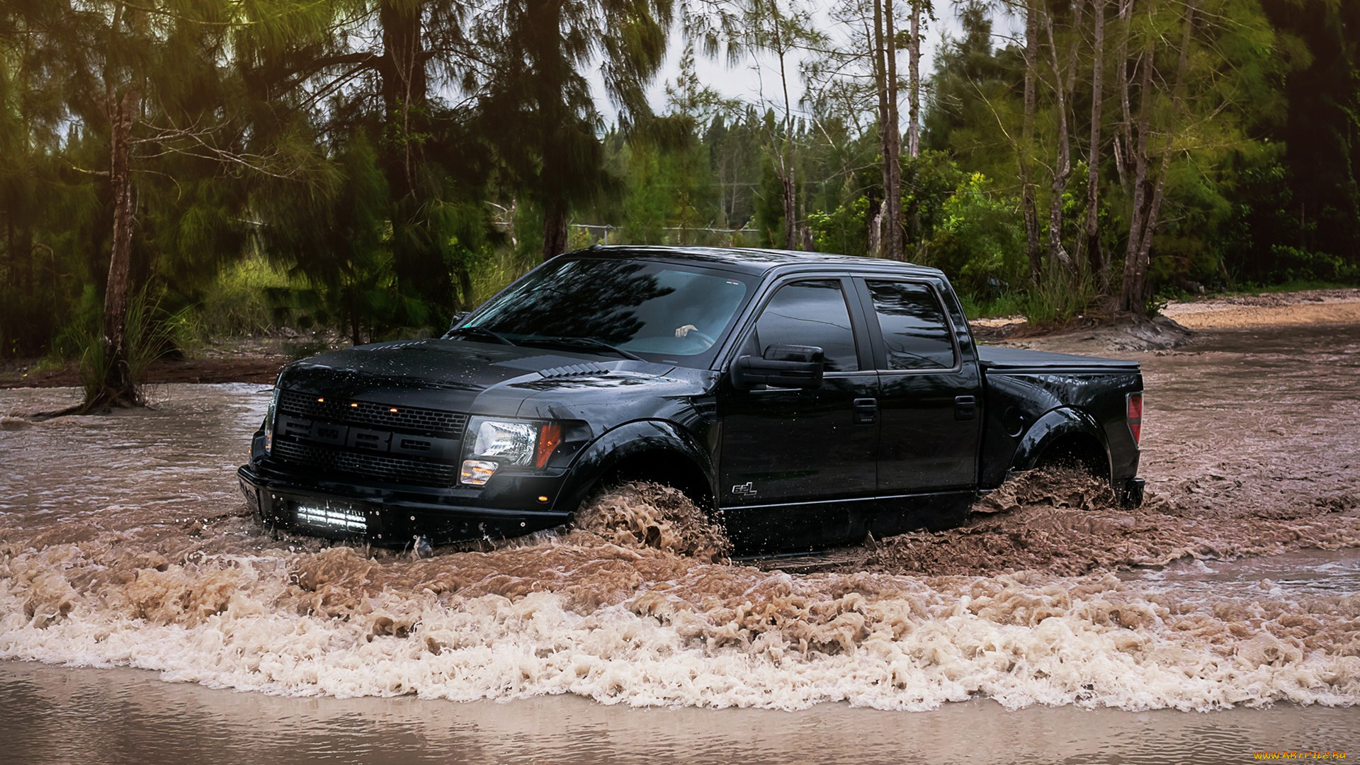 ford, , , , 